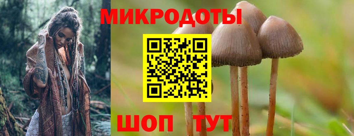 Хасавюрт  где можно купить наркотик  Вход с VPN  Псилоцибиновые грибы прущие грибы 